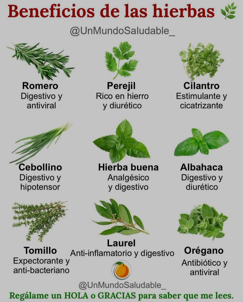 🙏✨💫🌞Tip Salud🌞💫✨🙏

*Regálame un Hola en comentarios así se que me lees.*
