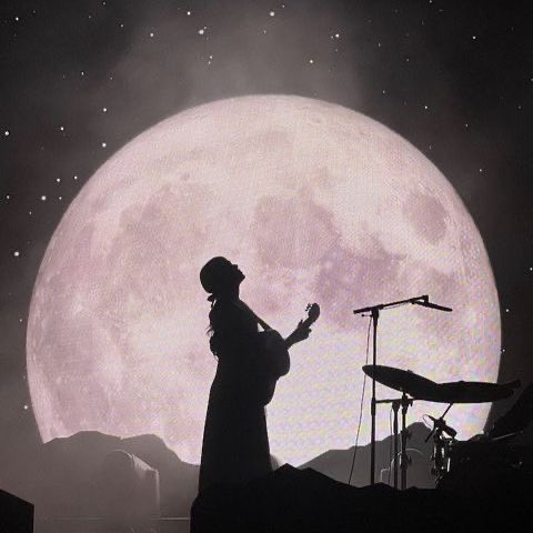 phoebe daily on Twitter: "no one does a live show like phoebe bridgers"