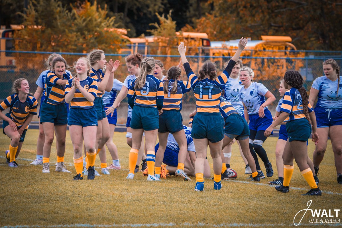 jwaltvisuals tweet media