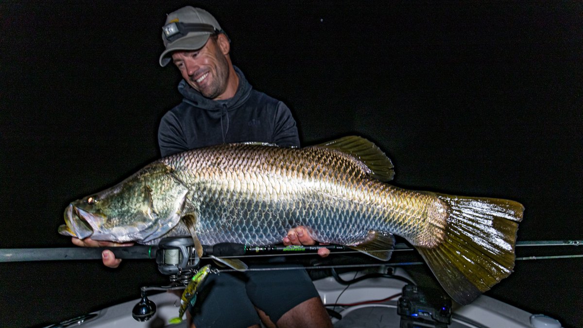 deandotfish's tweet photo. Absolutely love catching these brutes, especially on swimbait tackle. I almost forgot how hard they fight, always playing up. #fun #barramundi #fishing #awoonga https://t.co/RbA1tAxs3z