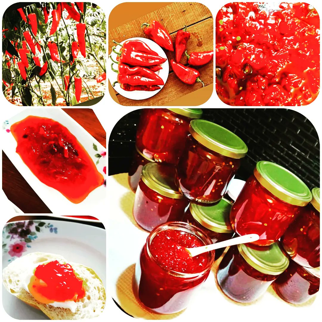 chef_mor's tweet photo. Günaydın ☀️
En önemli öğün olan kahvaltı için lezzetli alternatifler

Goodmorning foodies!
Tasty breakfast ideas with organic sauces and jam

must try chilli pepper jam 🌶️❤️

#günaydın #breakfast #goodmorning #lezzet #gourmettraveller #travellers #yemektarifleri #egelezzetleri https://t.co/e4pUAXvfkr