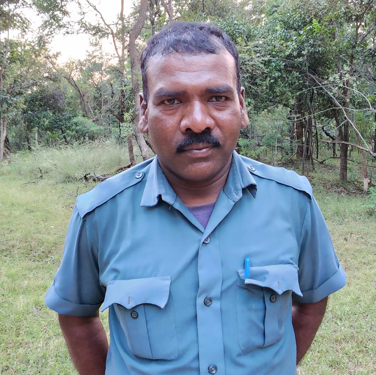 Meet Ghuran Sirsaam, part of team @ntca_india at Pench Tiger Reserve, the Mowgli land. He hardly had been to school but, due to his sheer determination, now an expert botanist. Point him a tree in Pench, and he immediately tells its botanical and local name and its uses as well.