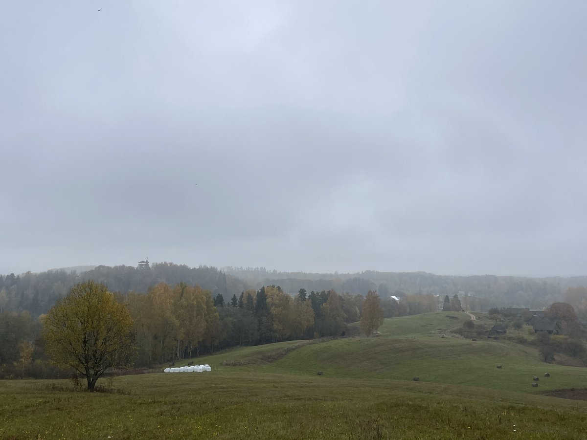 VivusLv MTB Maratons tweet media