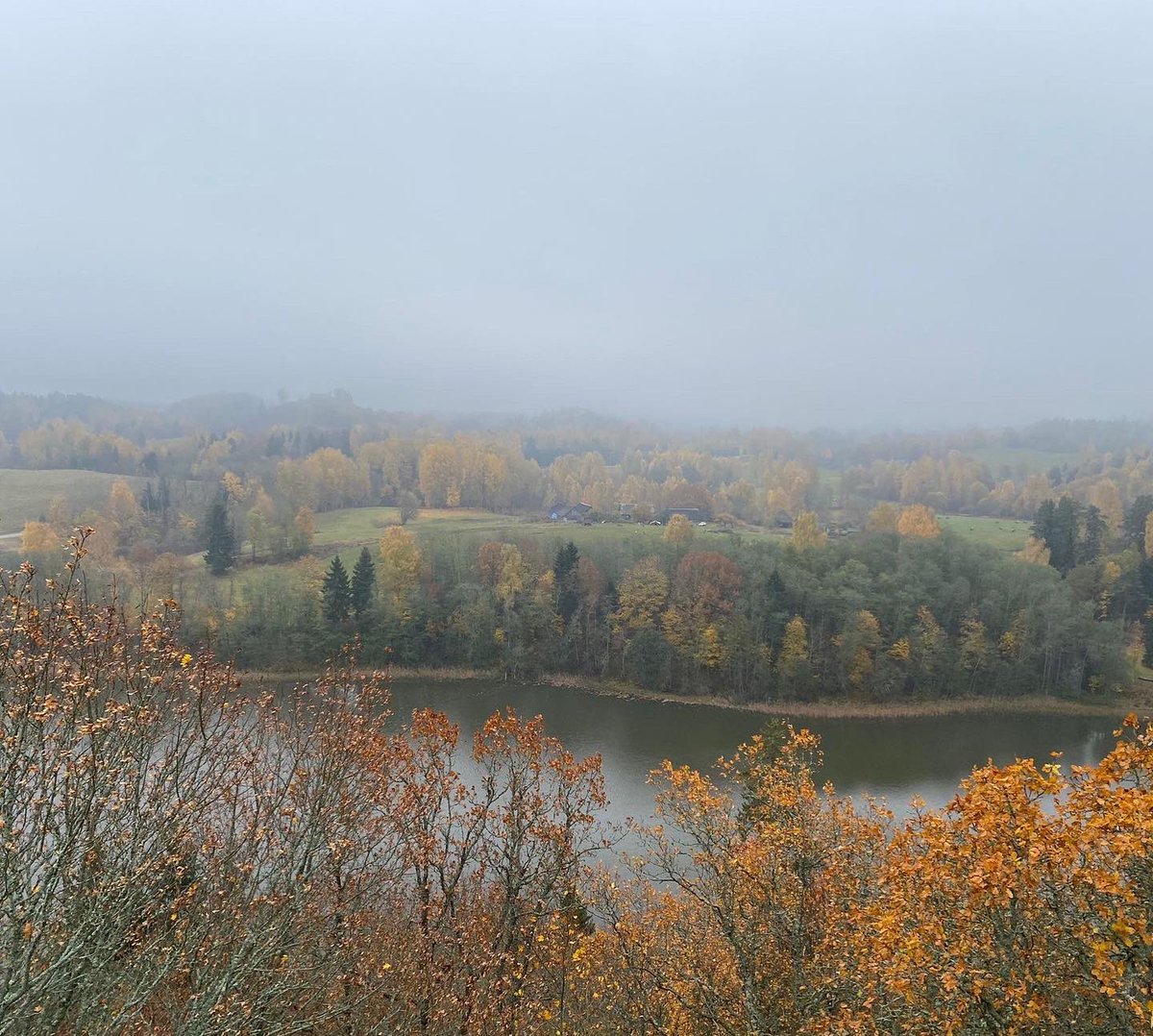 VivusLv MTB Maratons tweet media