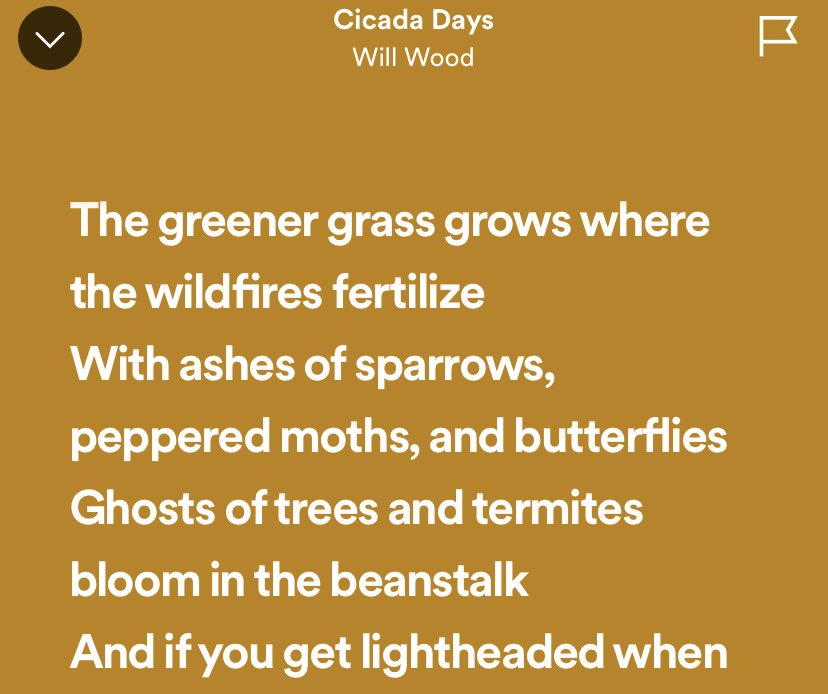 gothtermite's tweet photo. ghosts of trees and WHAT https://t.co/WCDpFsgi1W