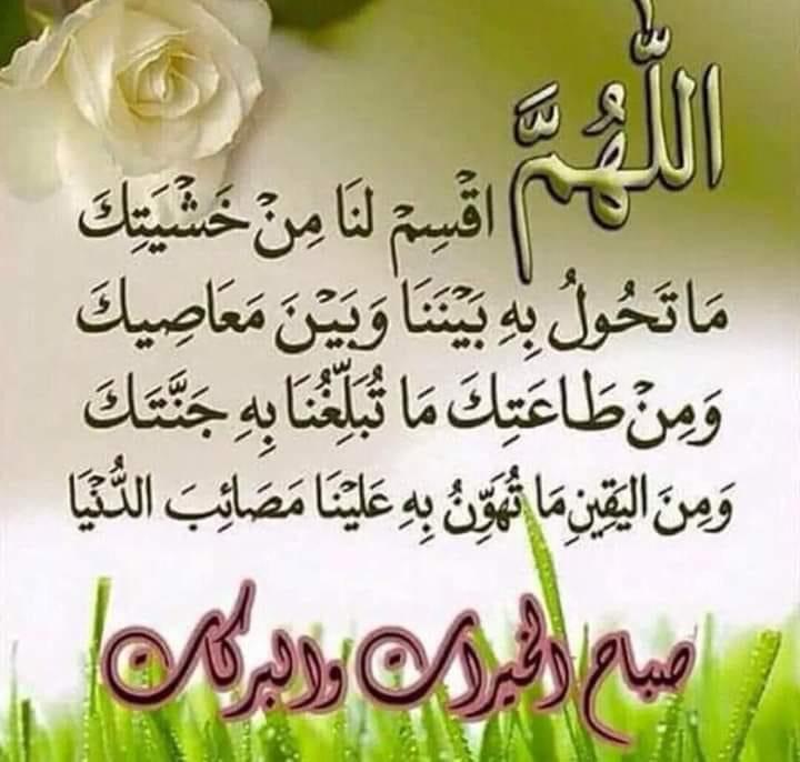 صبحكم الله تعالى بالخير و اليمن والسرور 
روي عن الإمام علي بن أبي طالب عليه السلام أنه قال :-
«    العلم وراثة كريمة، والآداب حلل حسان، والفكرة مرآة صافية، والاعتبار منذر ناصح ، وكفى بك أدبا لنفسك تركك ما كرهته من غيرك » 
لاتنسوني ووالدي من خالص صالح دعائكم
#صباح_الخير_والسعاده