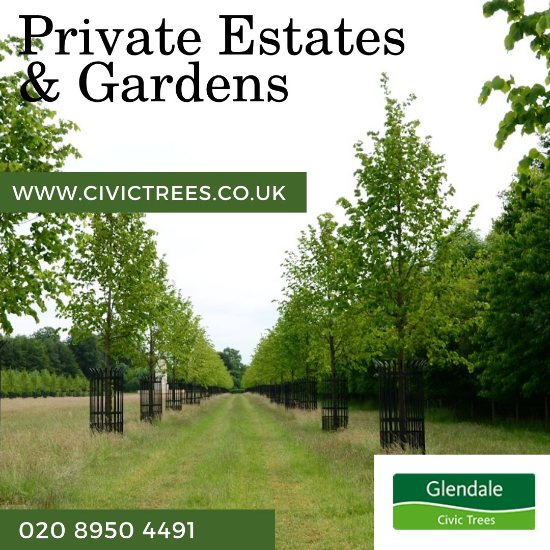 We offer a variety of services from tree planting, relocation and supply of trees. 
Contact:
Call - 0208 950 4491
Contact us - civictrees.co.uk
Location - Tree House, Houndswood Gate, Harper Lane, Radlett WD7 7HU