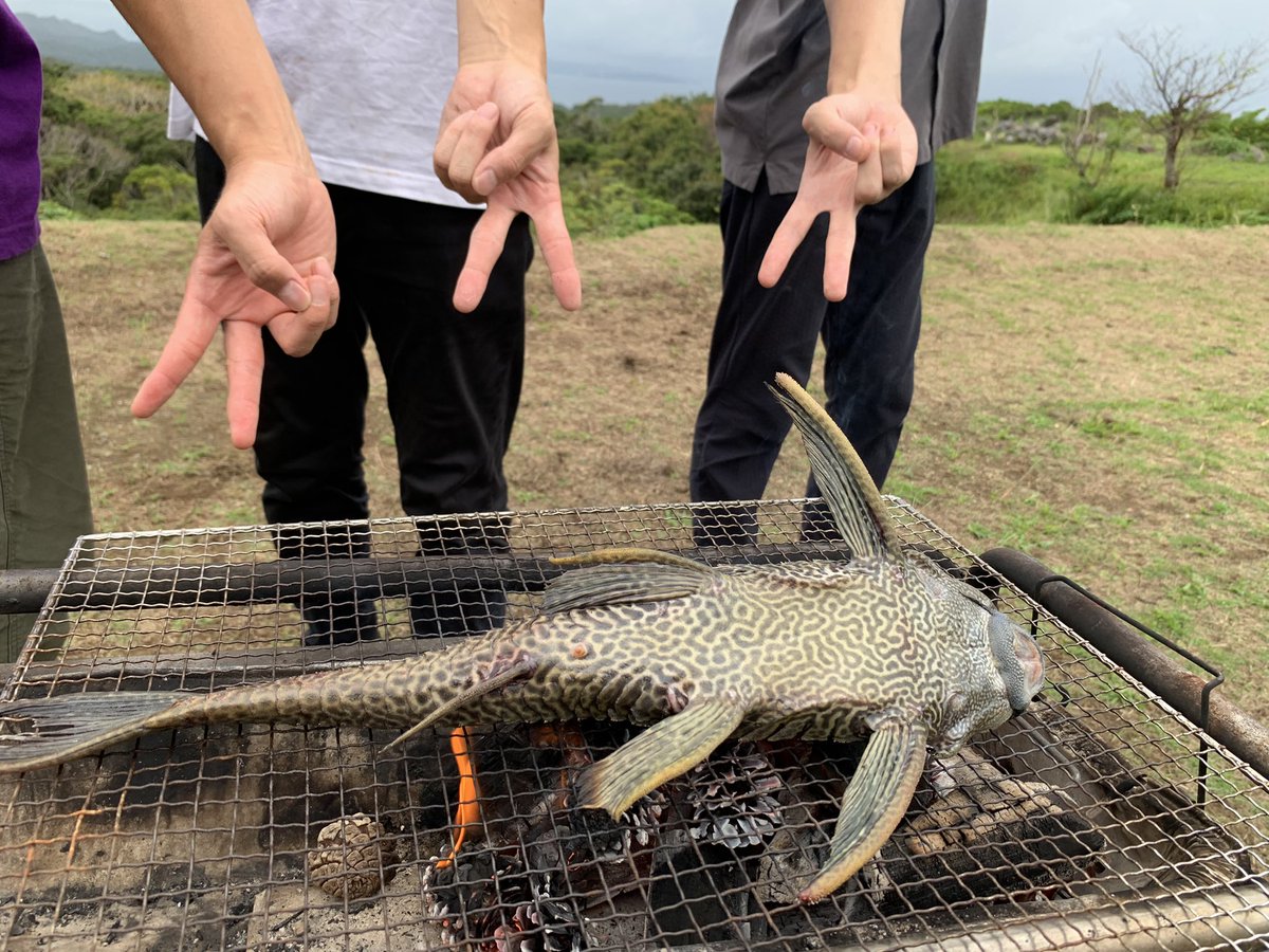 msniyy's tweet photo. 超chillなBBQ〜 https://t.co/T0lb0cyBud