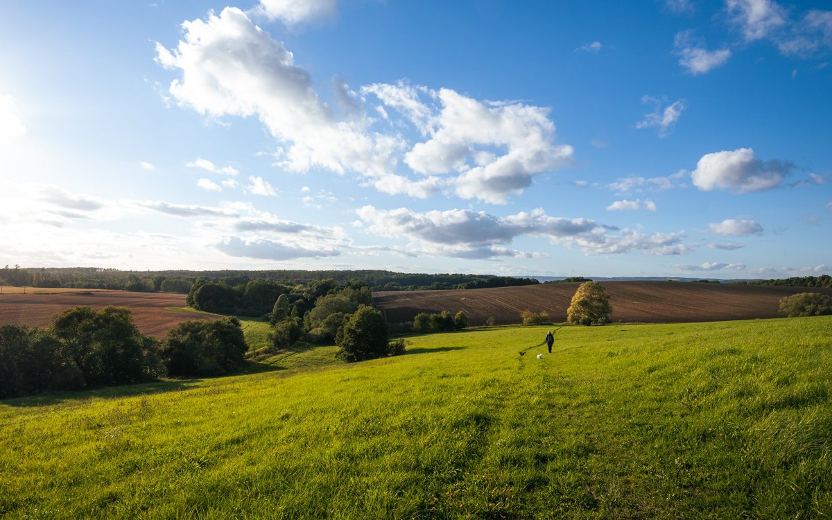 Kiknak's tweet photo. Libhošť…🌤️📸🌳🍁 #libhost #morava #czechrepublic #field #nature #travel #autumn #landscapes #photography #fujifilm #fujifilmcz #fujifilm_xseries #mapycz #peakdesign https://t.co/CivtCtTgh4