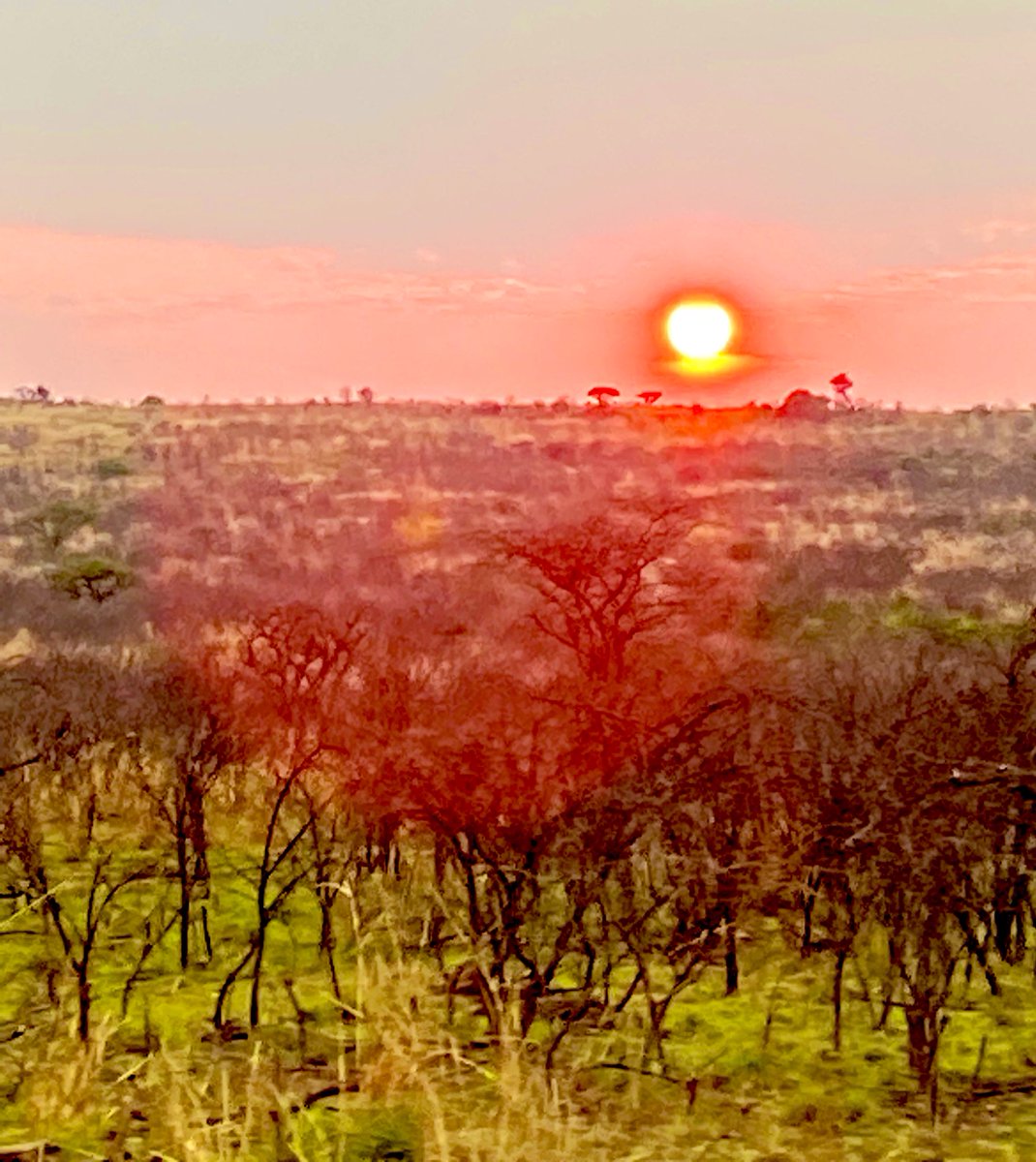 CorpsColRE's tweet photo. #Teamwork #BattlefieldStudy - great to take the @Proud_Sappers RHQ and @Engineers_CET to 🇿🇦 to study the Zulu & Boer War. Thank you Ron for the excellent delivery - so much learnt & many similarities to conflicts today. A key lesson - get your logistics sorted out; LE heaven 😄 https://t.co/q52glkPv7U
