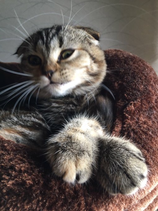 ラスボス感がパない( ˇωˇ ) 