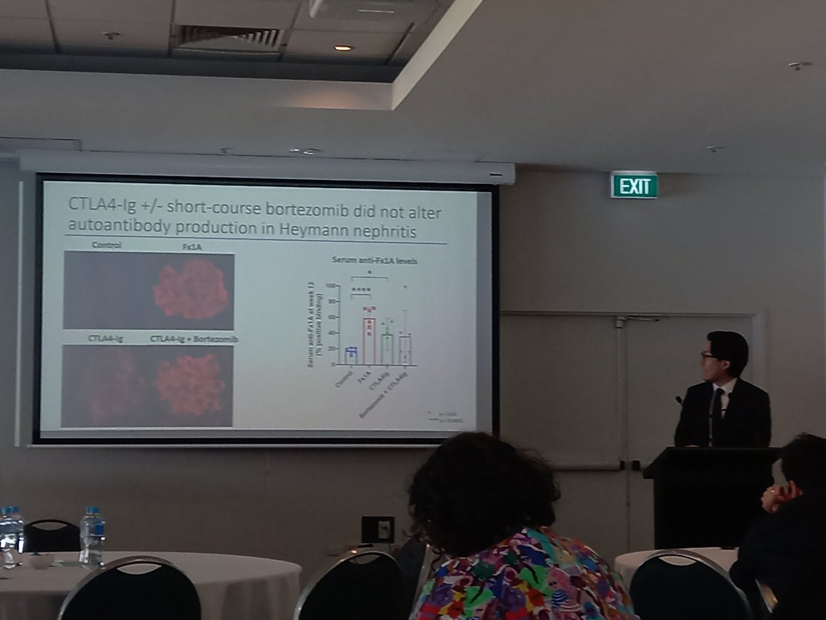 AmyKang23's tweet photo. #CTLA4-Ig but not bortezomib treated an animal model of #membranous nephropathy. An interesting talk by @EdmundChung. @Sydney_Uni #ANZSNASM https://t.co/f5eNLtqrlg