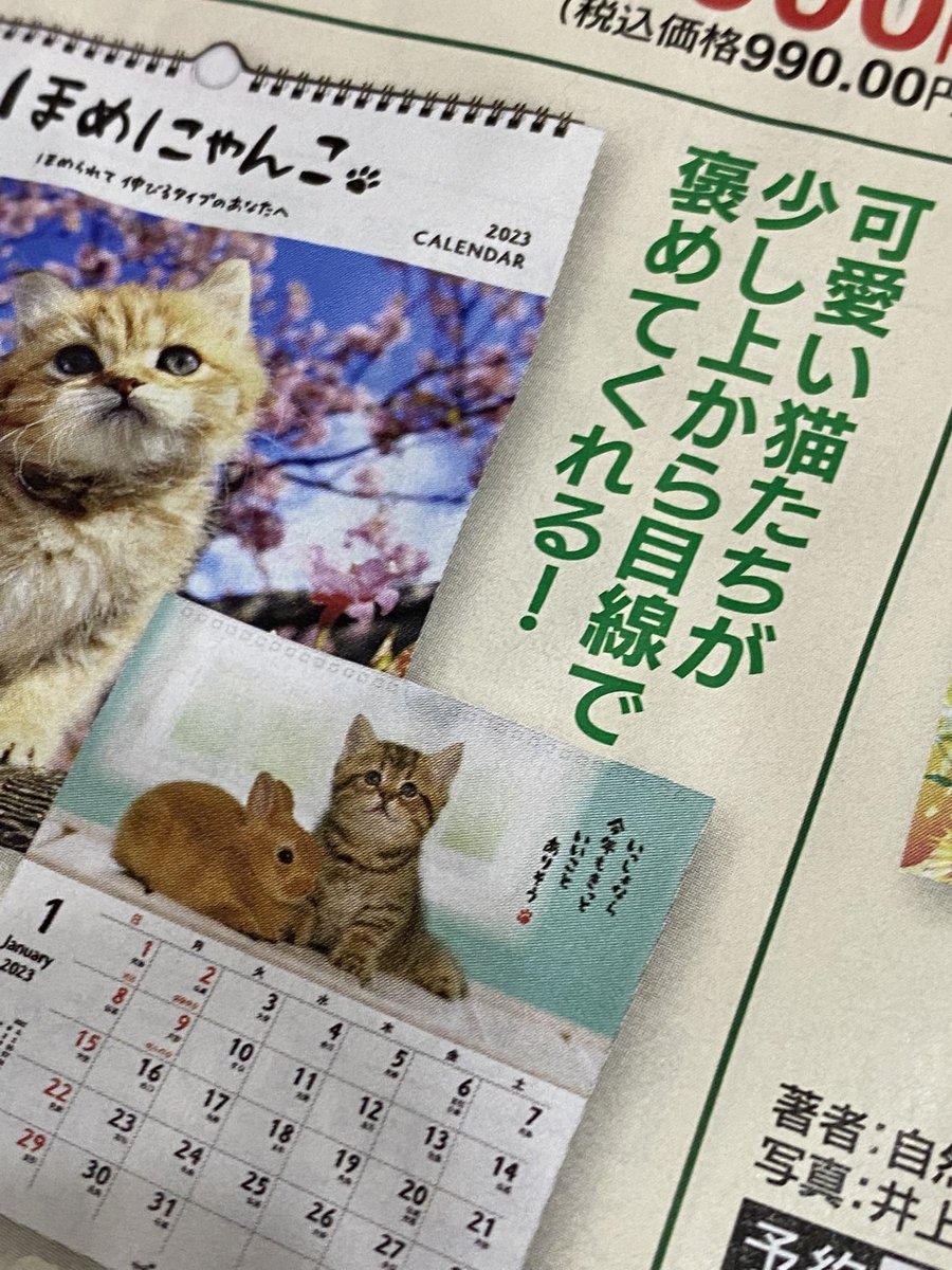 カレンダーのパンフレット見るの楽しいな。 
