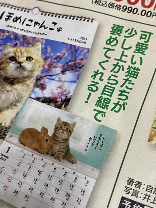 カレンダーのパンフレット見るの楽しいな。 