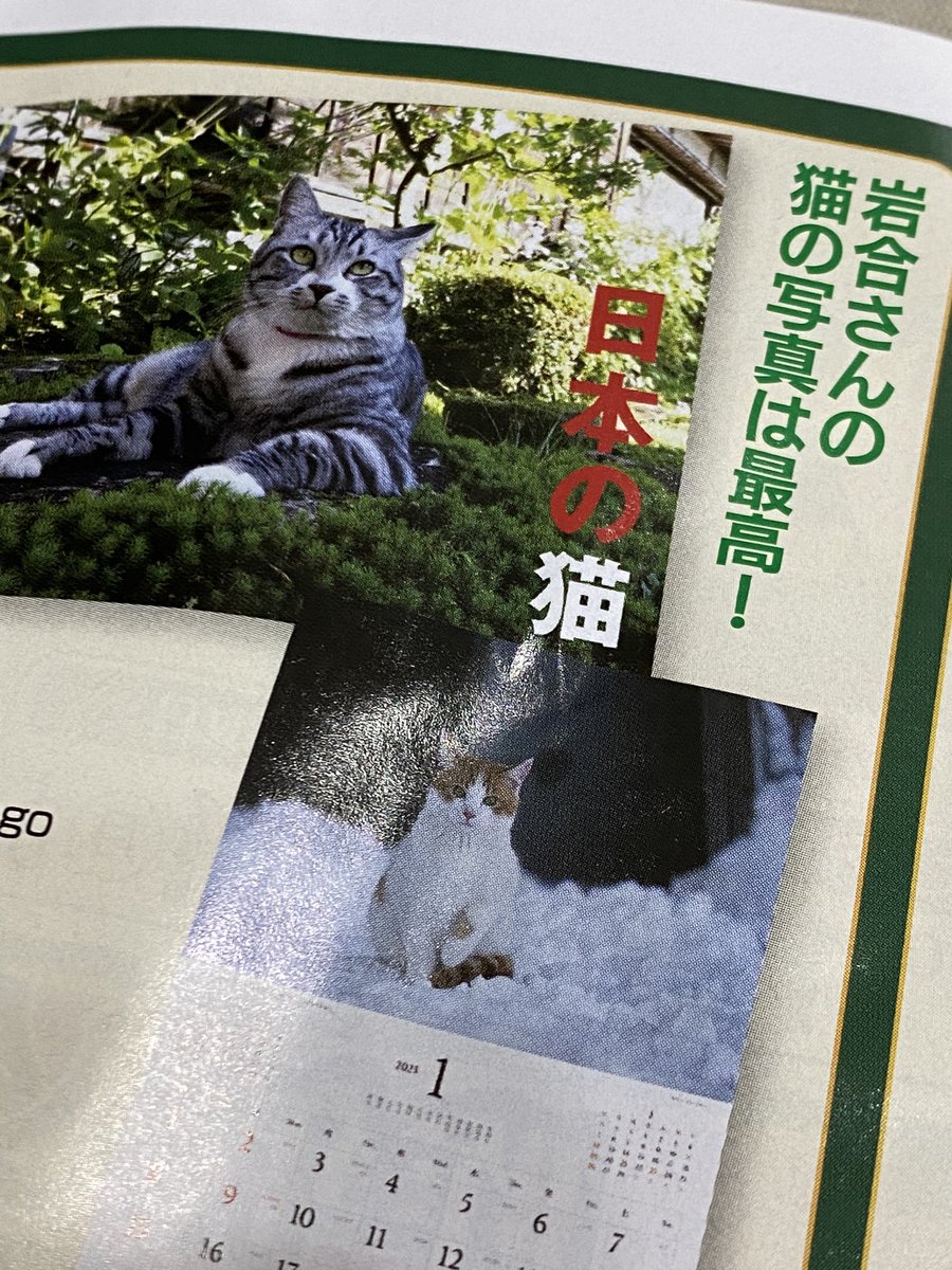 カレンダーのパンフレット見るの楽しいな。 
