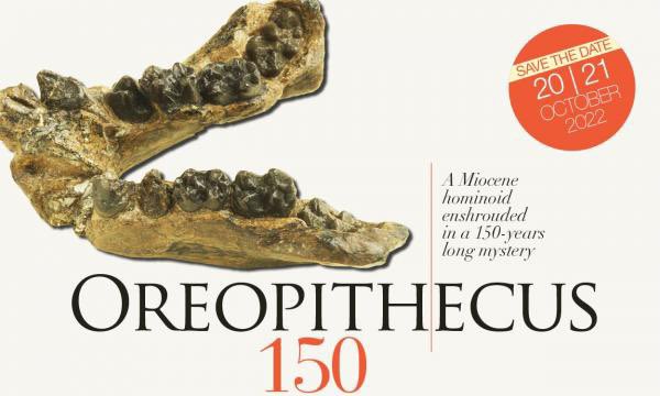 PaleoAppi's tweet photo. 📌#Oreopithecus150.
#Savethedate 20 e 21 ottobre 2022👈
Oreopithecus150. A Miocene hominoid enshrouded in a 150-years long mystery.
📨Per info e iscrizioni oreopiteco150@sma.unifi.it
@StoriaNaturale 
@UNI_FIRENZE #Paleoappi https://t.co/V843jlnjzV