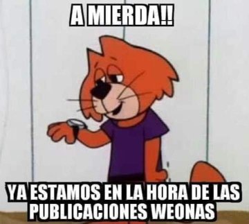 vikkingo28's tweet photo. @carreragonzalo https://t.co/wmfjIWfxh3