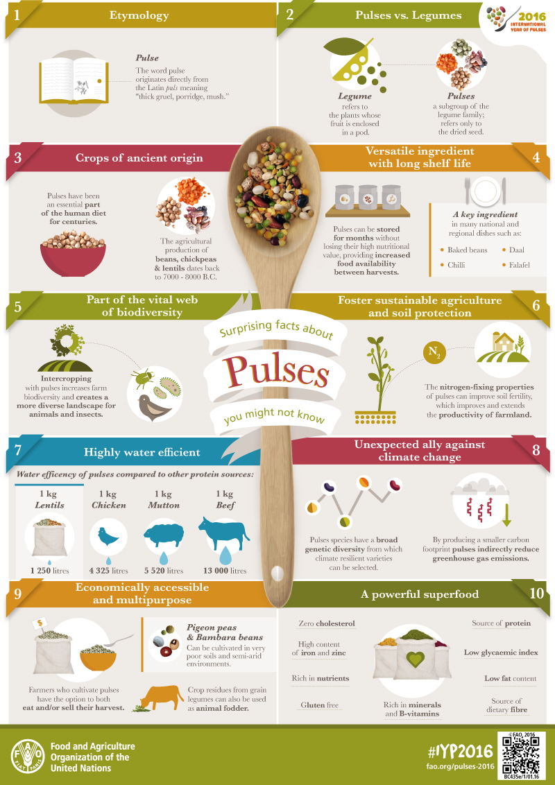 UNBiodiversity's tweet photo. Pulses and legumes contribute to the sustainability of food systems and are one of the main drivers to enable healthy diets.

We celebrate the importance of pulses #ForNature and people.

Learn more via @FAO https://t.co/N8oaF4ehPe