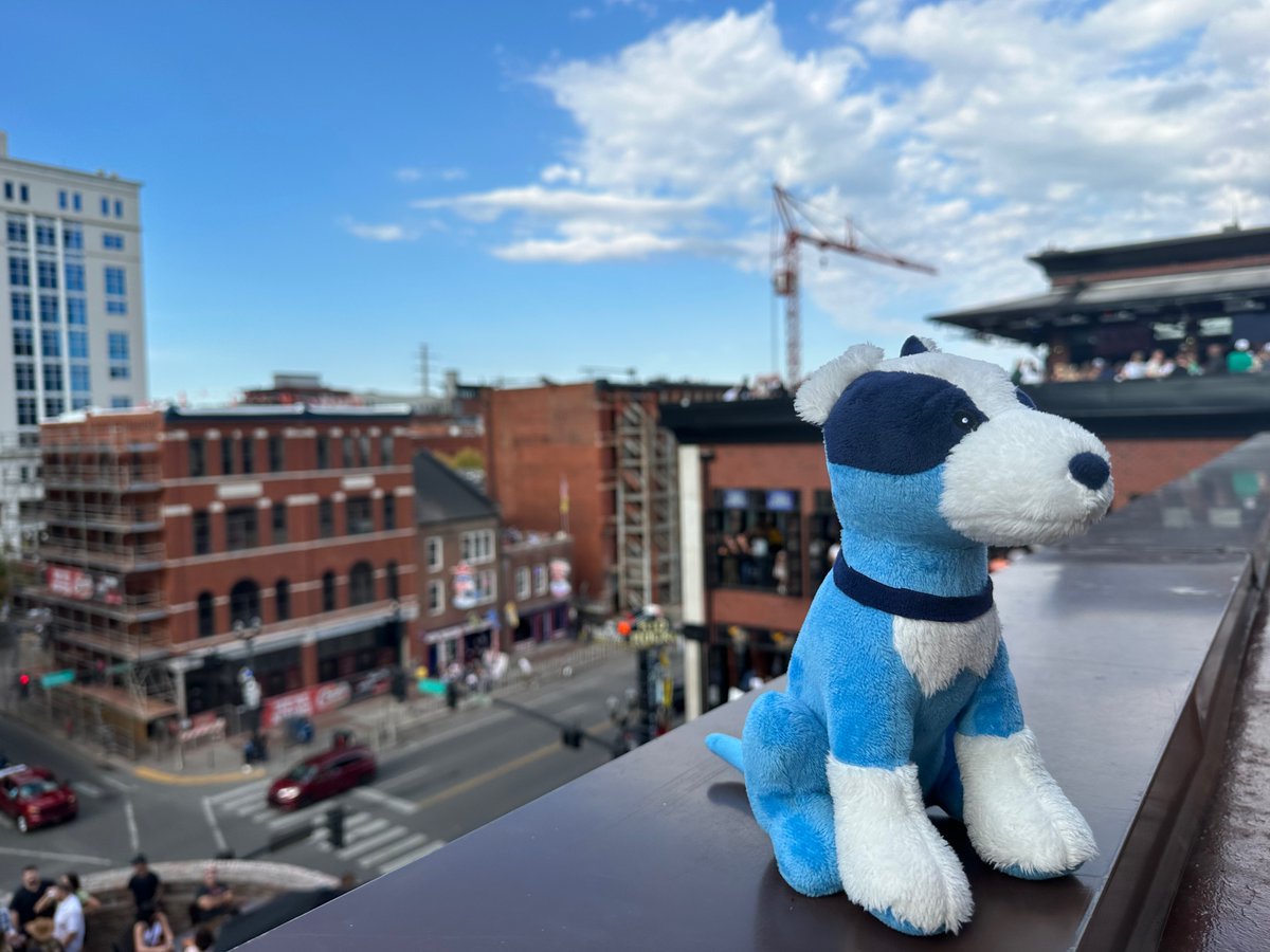 RecordPoint's tweet image. Hello Nashville! 

We're at #ARMA #InfoCon2022! Come on down to booth 204 and meet the team. We'd love to discuss your records and data management challenges and introduce you to our Data Trust Platform.

Plus, meet our mascot Rex, and learn how you can get one of your own!