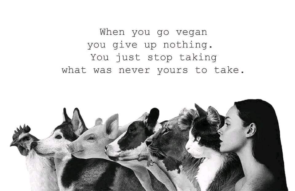 #Veganism #AnimalRights
