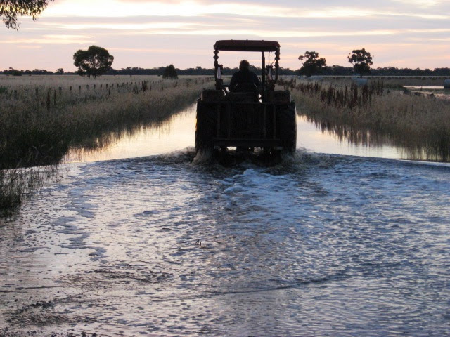 Agriculture Victoria tweet media