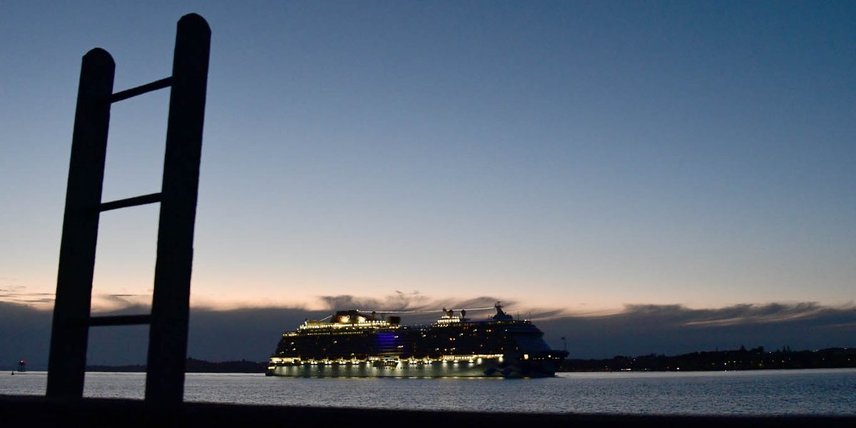 Goina Thedinga tweet media