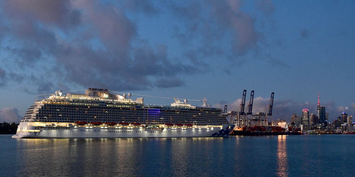 Goina Thedinga tweet media