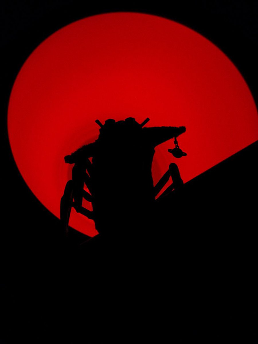 Sebastian tweet media