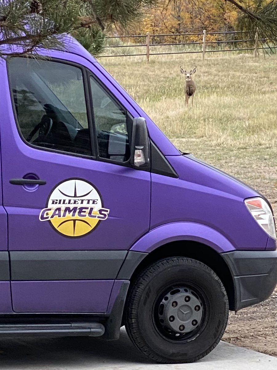 Fall tourney boys won 2 games and lost to the champs by 4 points. Milkshakes☑️                Shady Hotel☑️ 🚫Layups☑️ Teamwork☑️ Toughness☑️ #CamelPride #LetsGooo