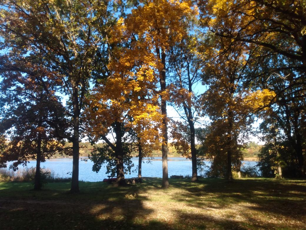 homadebanjo's tweet photo. Absence of #clatter's
strangely unnerving, PLEASE, one
frolicking squirrel
#HaikuChallenge
#enneadpoet https://t.co/cbLs5s69ak