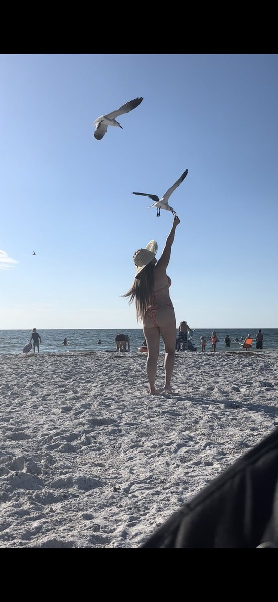 ThamarisSolares's tweet photo. Nunca dejes que te corten las alas, brilla.

Vuela alto, vuela libre. 

Yaiza Yeguas

#milugarespecial
#milugarfavorito
#florida
#cleawater https://t.co/VonxlA8Svj