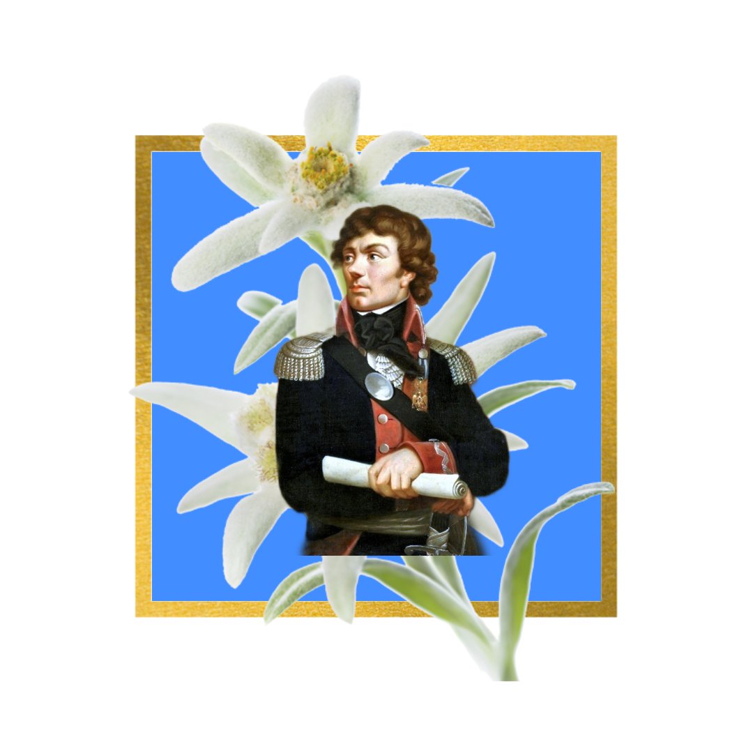 Timeless Paper Butterfly (@timeless_paper) on Twitter photo 