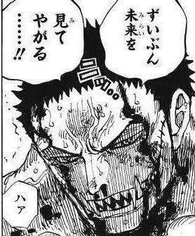 くいなの話で(ビッグマムみたいな特大例外を除き)ワンピース世界でも女である時点で肉体強度的にはハンディキャップになるって話をしたの、今回の女になる病を"通す"ための伏線だった可能性あるな 