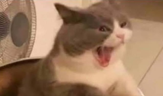 Jon Jaeger Snow Cassano tweet media