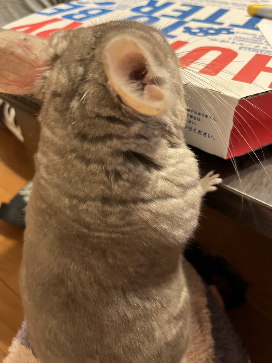 つくね (@Tukune_0116) / Posts / X