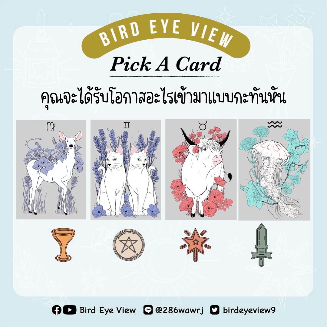 birdeyeview tweet media