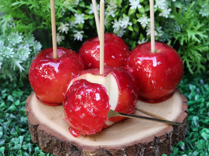 公式 代官山candy Apple ダイカンヤマ キャンディーアップル 本格スイーツりんご飴専門店カフェ