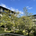 ツイートに含まれる画像