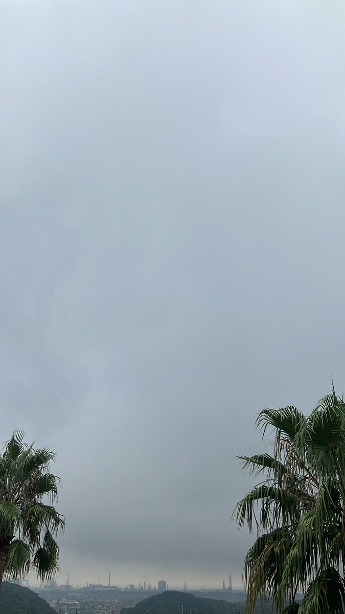 どよーん
しとしと
朝からそんな和歌山市です☁️☔️

三男、せっかく運動会の代休やのに雨でお気の毒...と思いきや、普通に遊びに行きました。
男子に雨天中止はないのだな😇

 #企業公式秋のフォロー祭り 
 #企業公式が地元の天気を言い合う