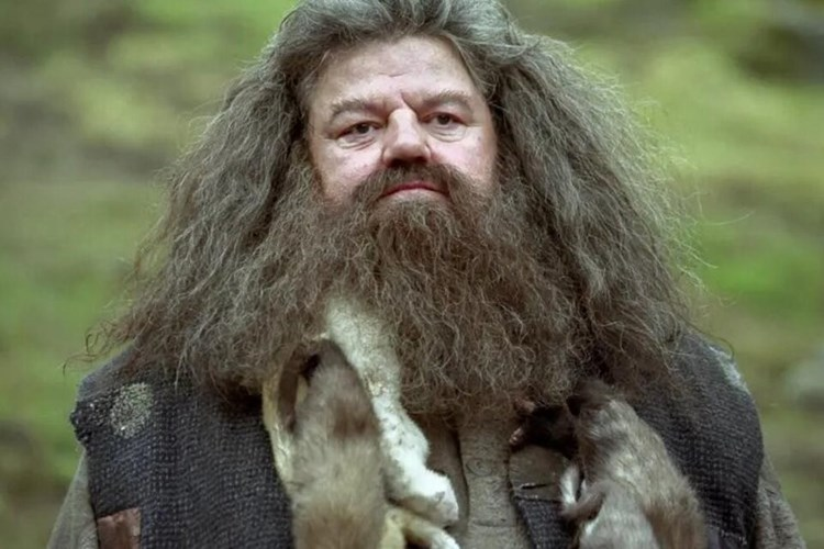almayadeen_es's tweet photo. Lamentan la muerte de Robbie Coltrane, el Hagrid en "Harry Potter" https://t.co/USeEKig1ar #HarryPotter #RobbieColtraneRIP #hagridactor https://t.co/z2lu79ak3a