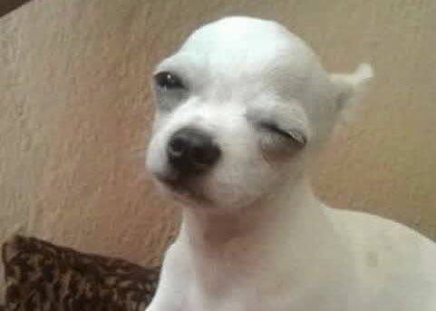 caffrey05's tweet image. El sordo no oye, pero bien que componeee. ¿Verdad, Alicent? Seaaas mamooon 

#HouseOfTheDragon