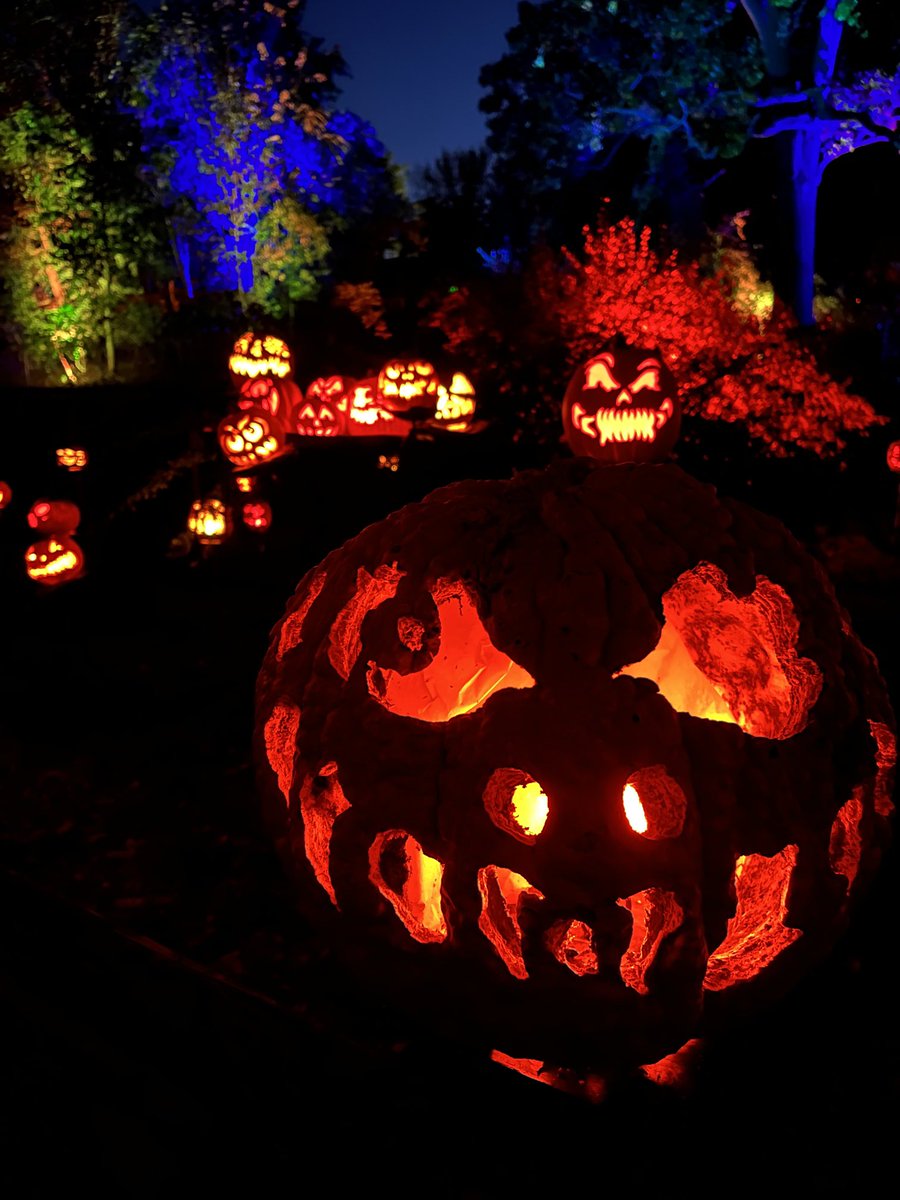 Always a delight ⁦<a href="/RWPZoo/">Roger Williams Park Zoo</a>⁩ 
Jack-O-Lantern Spooktacular
Gorgeous!