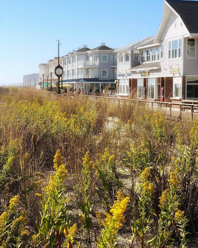 Sweatshirt season at the beach 🌊 instagr.am/p/CjzBvgMj5vu/