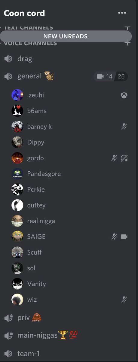 ccord_'s tweet image. REAL NIGGAS ONLY💯🦍