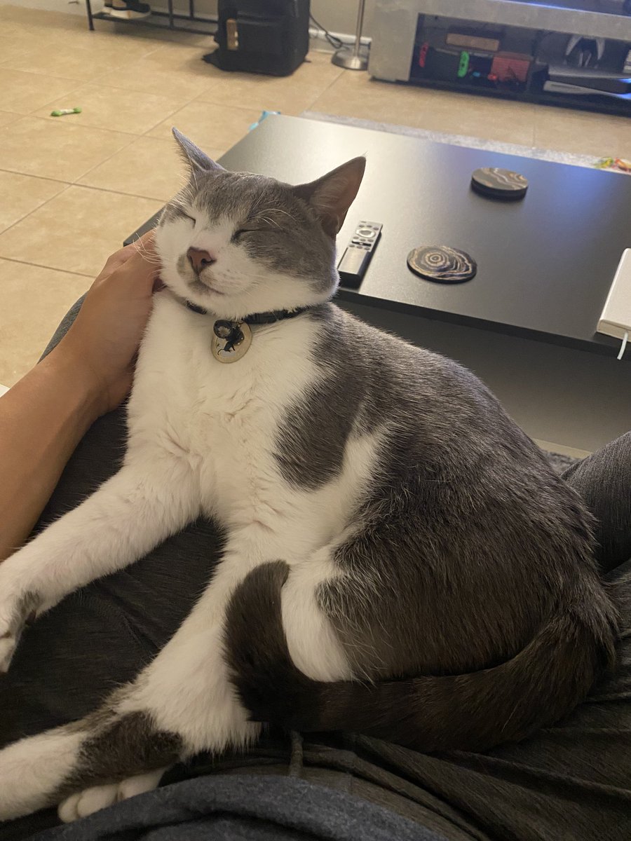 He’s too cute when he’s like this to not share with the world ❤️