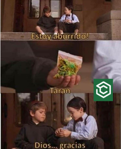 criptoPelusa's tweet image. Vamos a quemar!! @CryptocampoNet