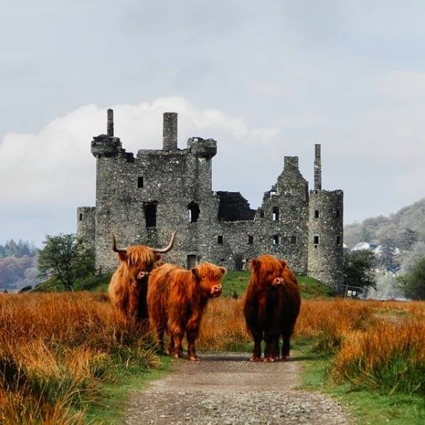 yesjimstheman's tweet photo. Kilchurn Castle, Loch Awe, Argyll and Bute, Scotland!💙🏴󠁧󠁢󠁳󠁣󠁴󠁿 https://t.co/7A55a6ng7w