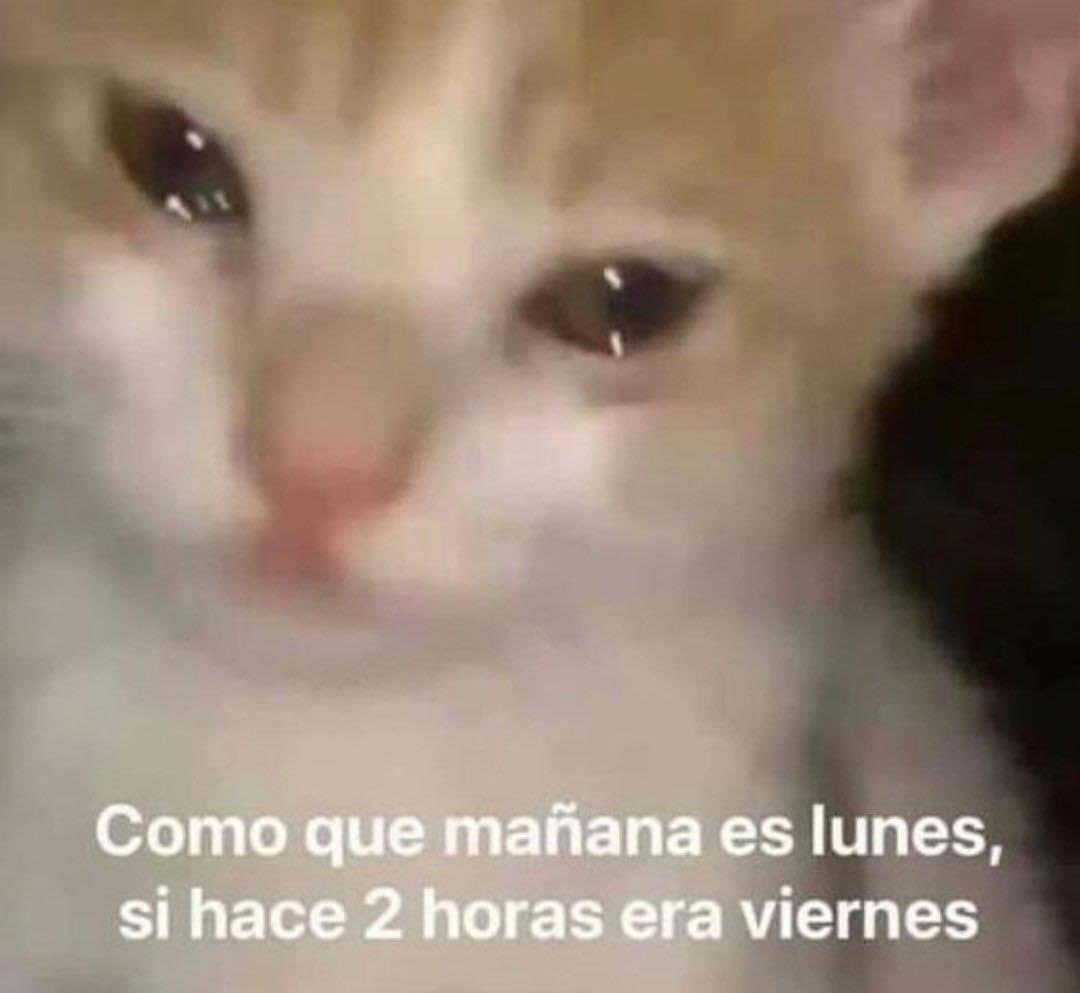 Guarromantico_'s tweet photo. https://t.co/4Ffslwpb2j