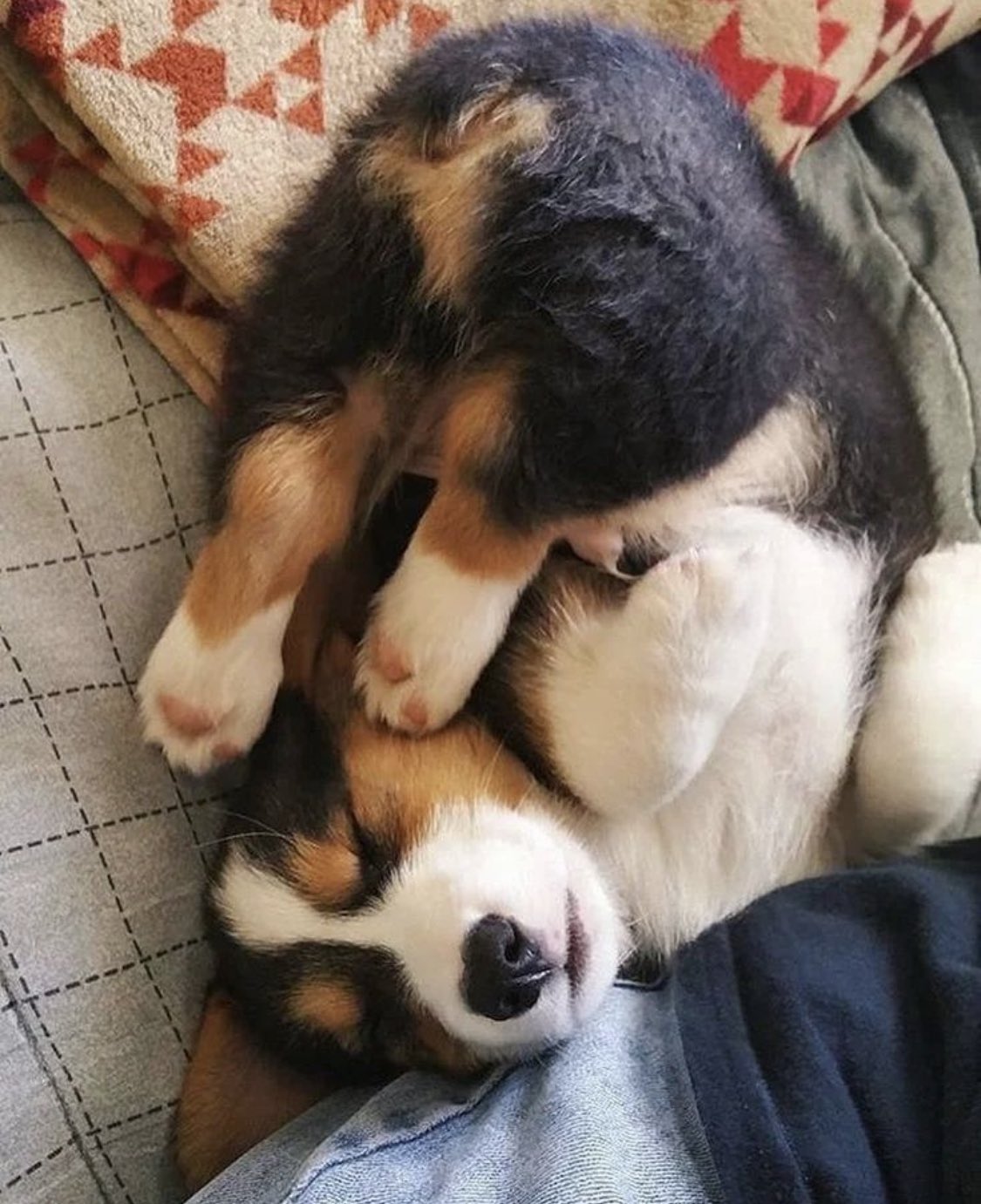  On Twitter would U Kiss Him Goodnight Https t 