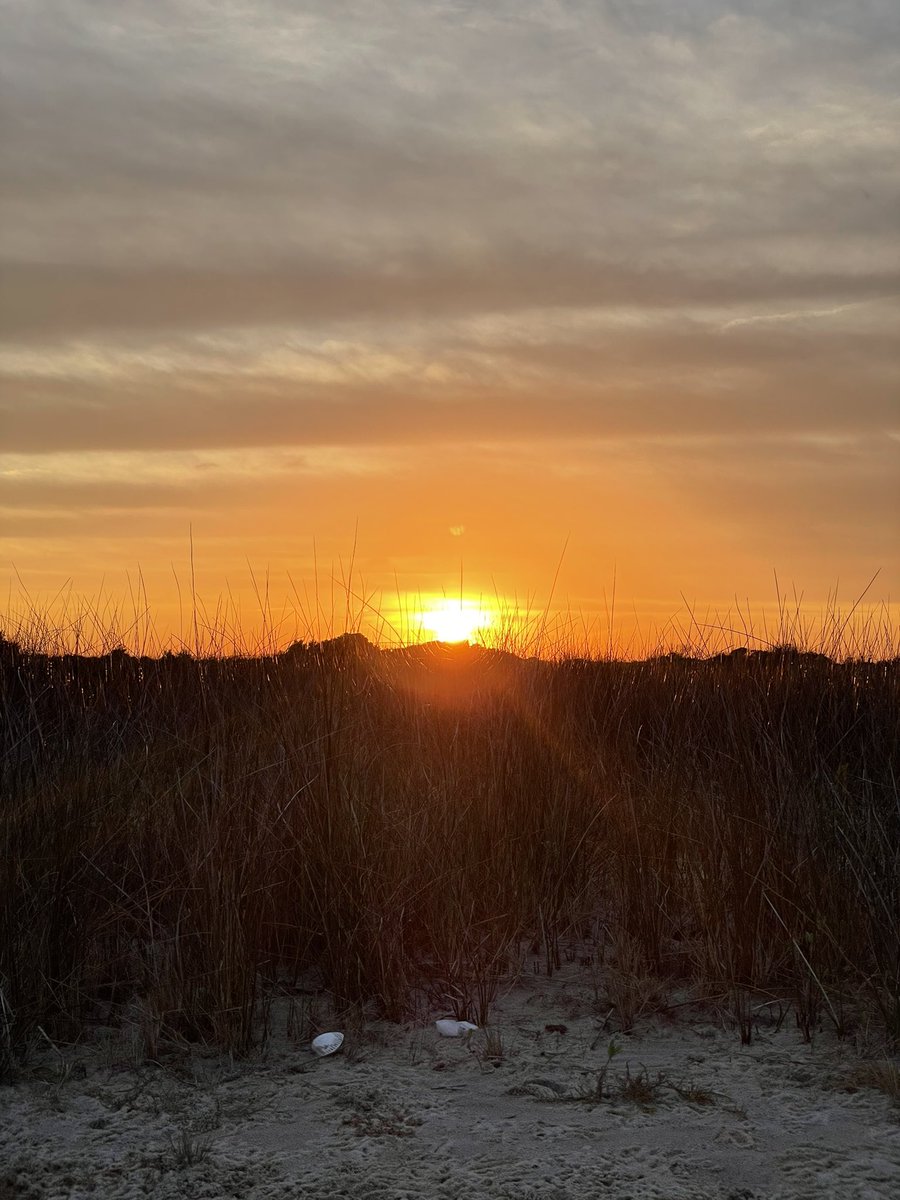 Sunset to Sunrise: A beautiful day of research on Shack!